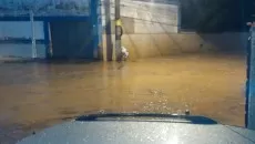 Rua professora violeta santos mariano procopio nao precisa creditar