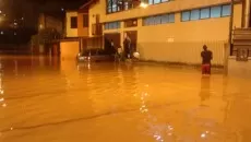 Rua professora violeta santos mariano procopio nao precisa creditar 31