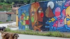grafite leo2