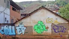 grafite leo5