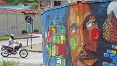 grafite leo6