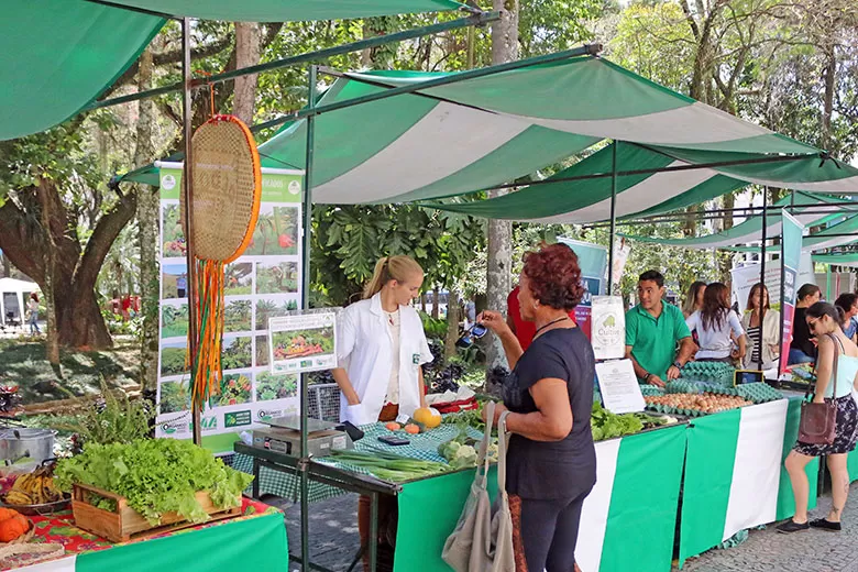 feira leo