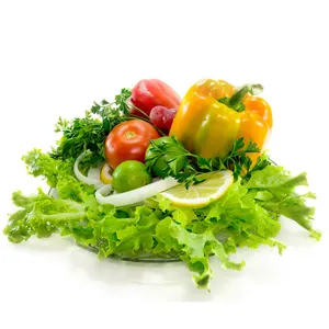 Dieta vegetariana