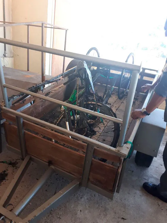 Foto: Arquivo Pessoal bicicleta alexandre ank