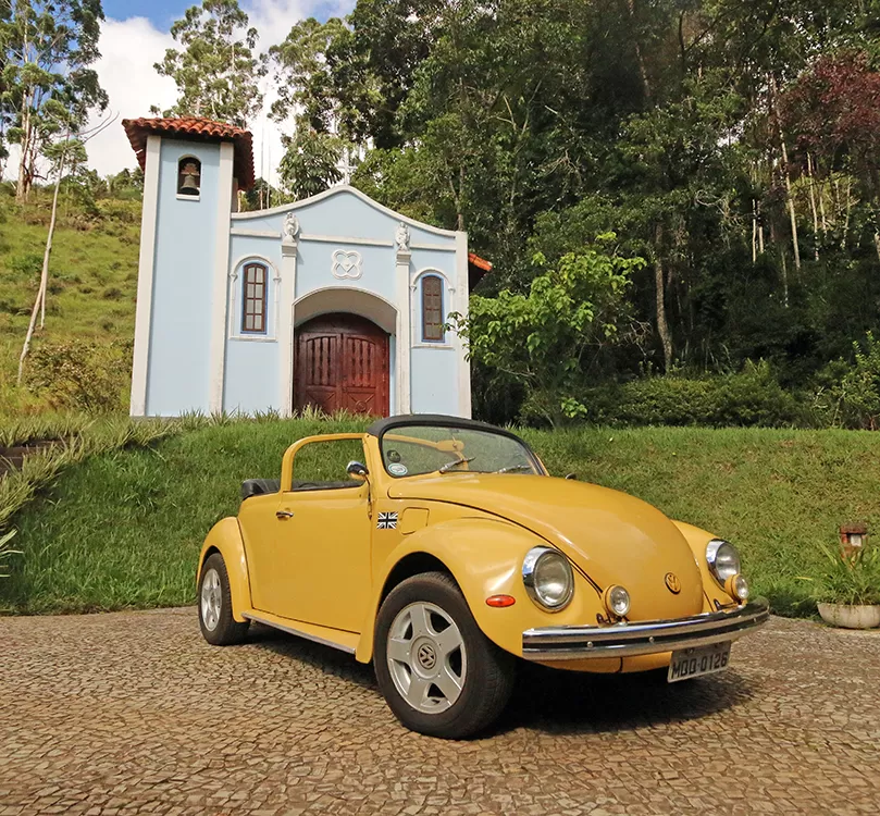 fusca leo1