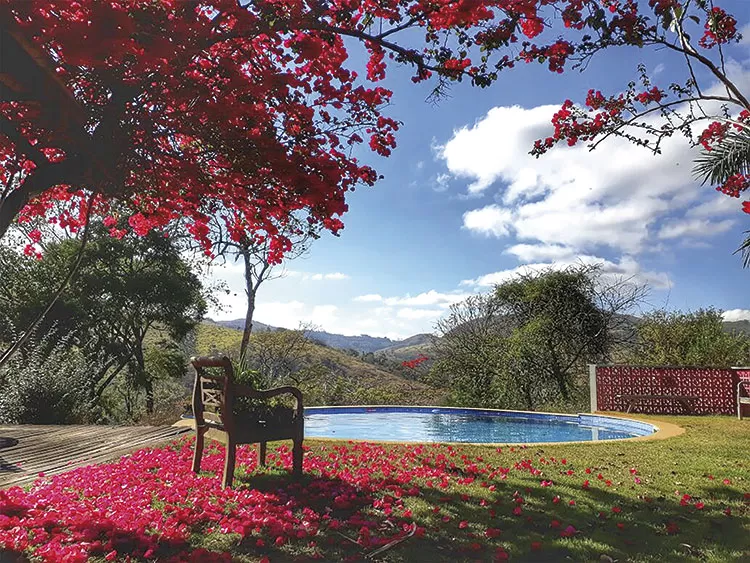 Como montar um jardim ideal para sua casa 1 jardins