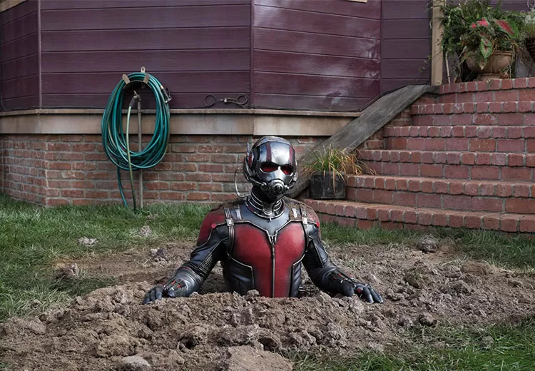 Homem Formiga