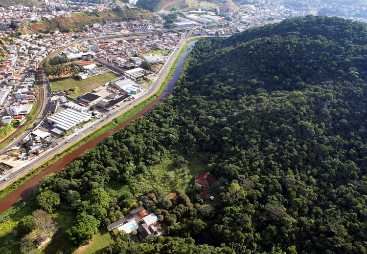 Mata do Krambeck pode ser aberta com criação de parque 1 mata ktrambeck