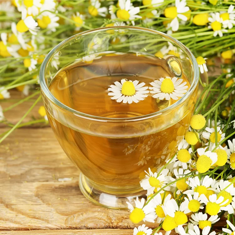 7 chás que melhoram a saúde 12 lifeandstyle chas que melhoram a saude camomila