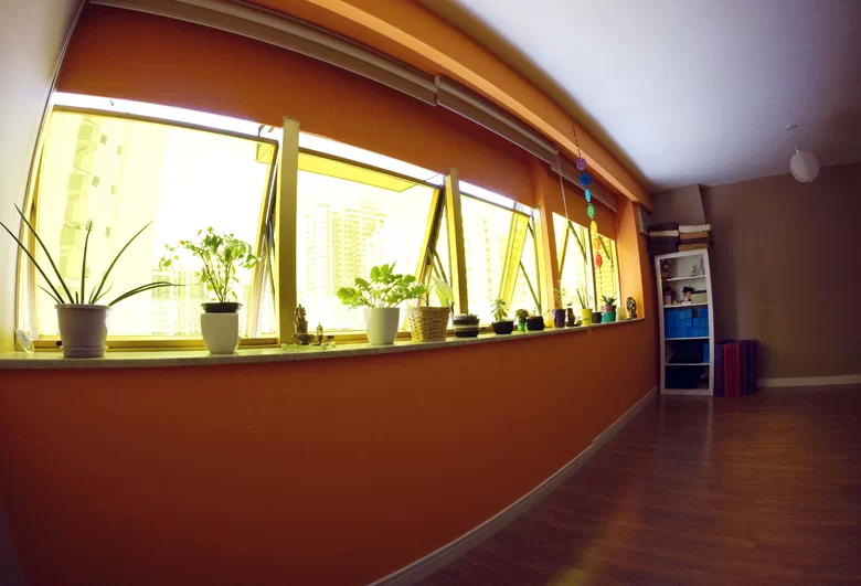 Veja como levar equilíbrio e boas energias ao ambiente 5 meu imovel 2