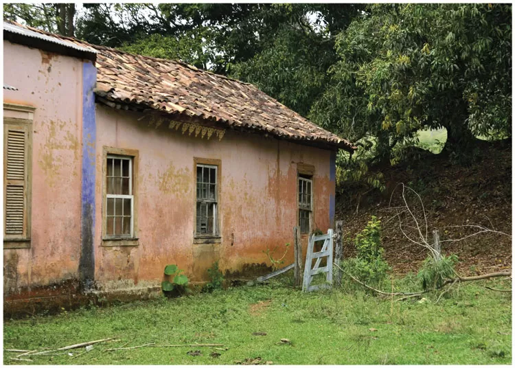 Varal-Fotográfico-Márcia-Valle