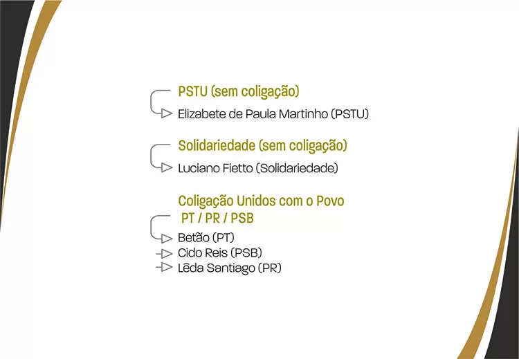 slide-perfil-candidato18
