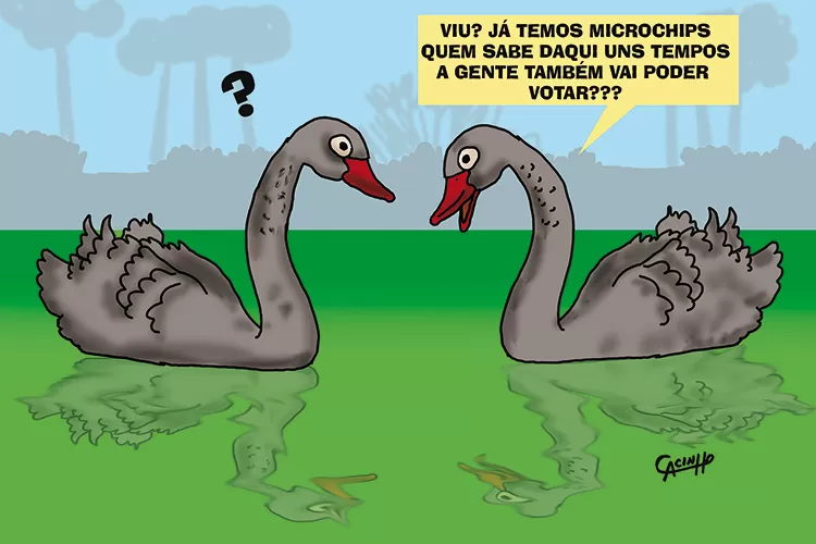 Charge dia 3 de outubro quarta1