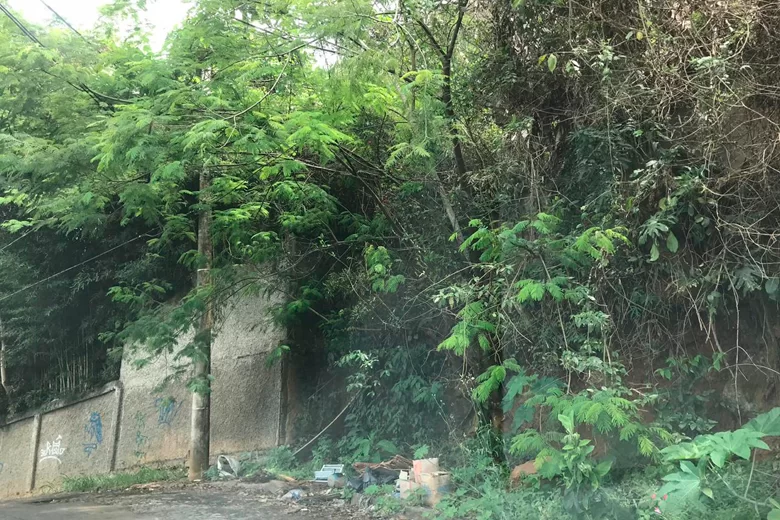 Mato alto e lixo são problemas no Paineiras 1 vidaurbanaáineiras