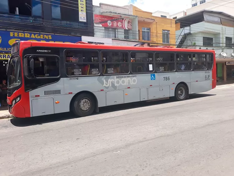 consorcio