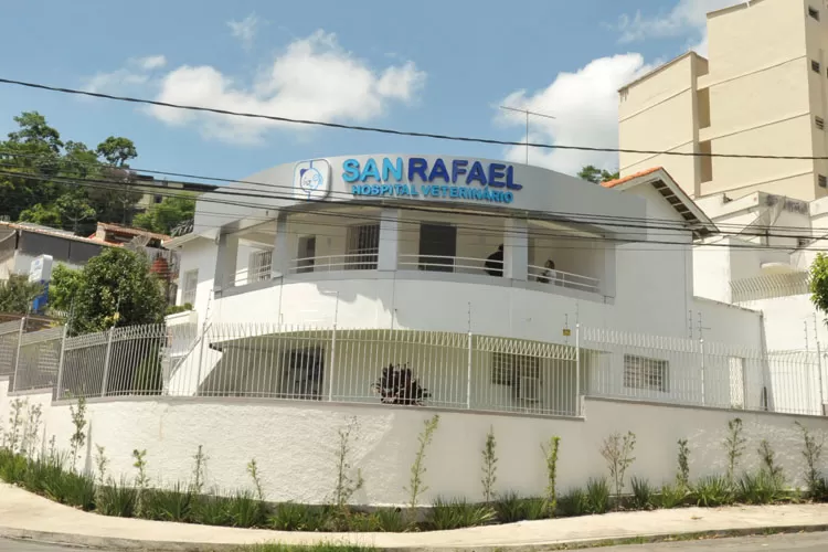 San Rafael Crédito Simone Aglio 1 destacada