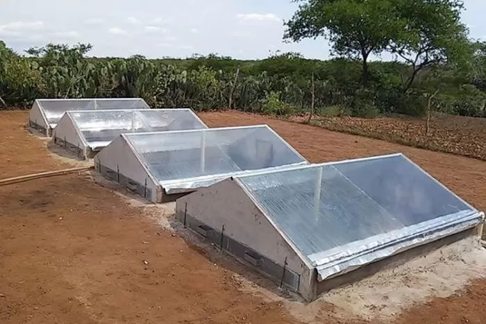 Dessalinizador de baixo custo garante água potável no semiárido 1 dessalinizador1