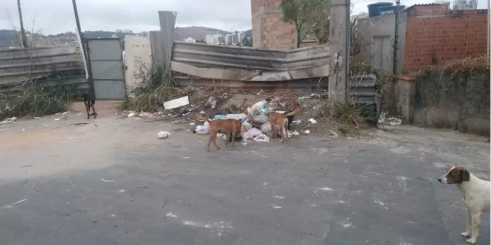 Descarte irregular de lixo incomoda moradores do Bela Aurora 1 VU Bela Aurora 0208