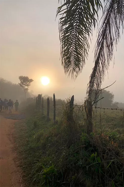 cerraão-Cópia