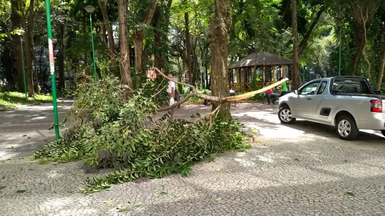 galho carla dahora