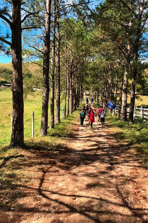 grupo-de-costas-na-estrada-de-chaão-Cópia