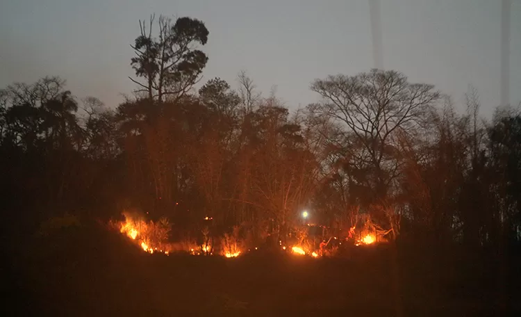 Juiz de Fora tem mais de 250 incêndios só este ano 1 incendio by felipe couri