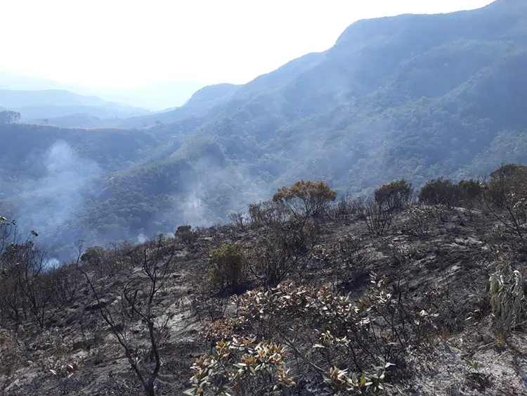 incendio serra negra marcio lucinda03
