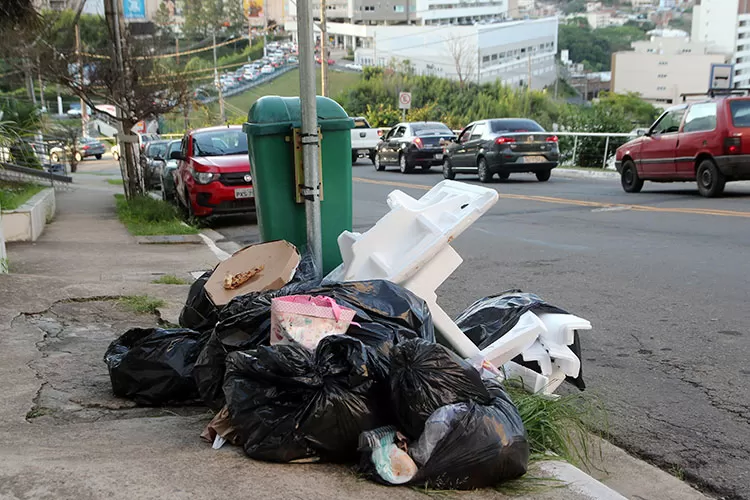 ALAMEDA-PÁSSAROS-DA-POLÔNIA-ESTRELA-SUL-