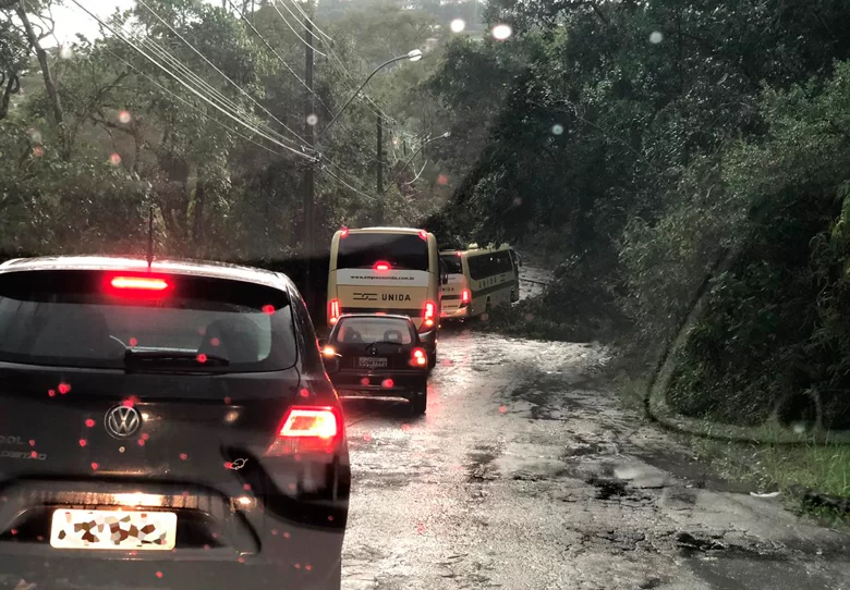 Chuvas e ventos fortes derrubam árvores em Juiz de Fora 2 galhos caidos avenida mello reis