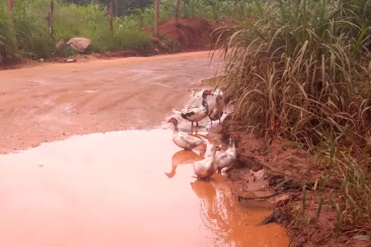 Moradores de Ibitipoca cobram esclarecimentos sobre conservação da LMG-871 1 ibiti