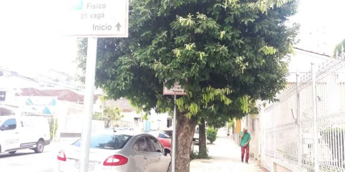 Falta de poda impede visualização de placa 1 VU SãoMateus 0402
