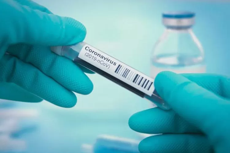 coronavirus