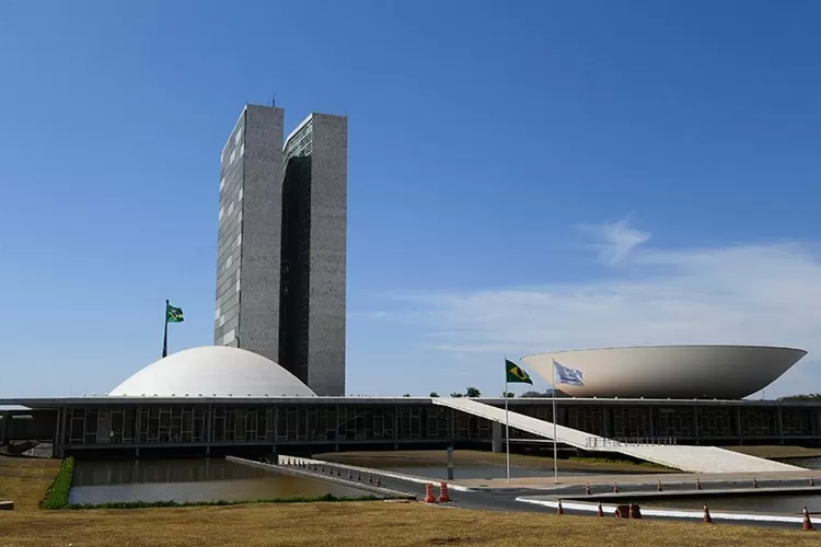 senado
