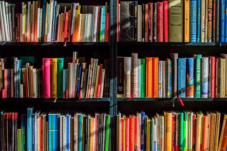 capa livros