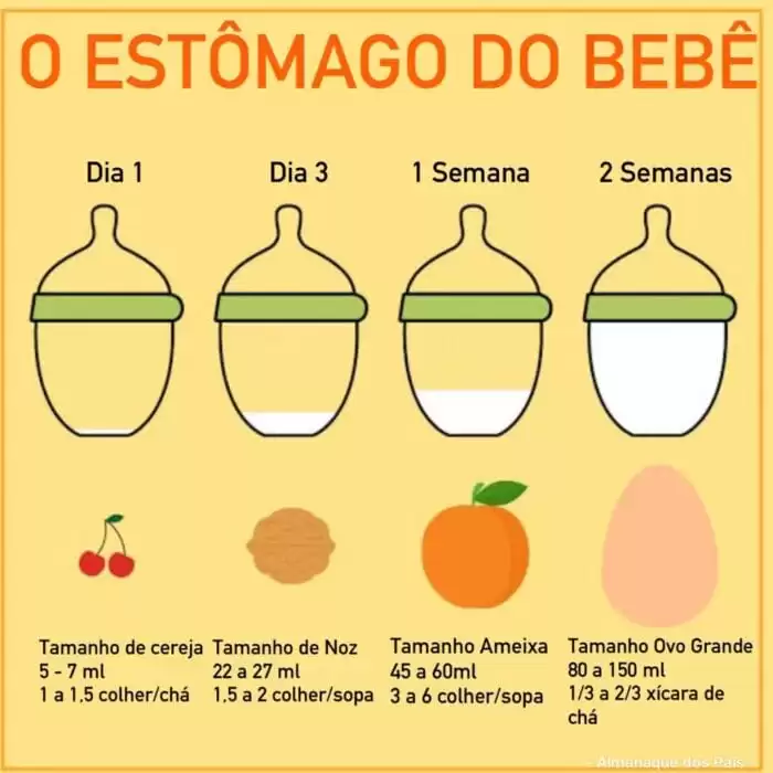 tamanho do estomago do bebe 1