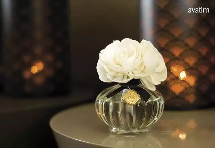 aroma patricia alvim 2