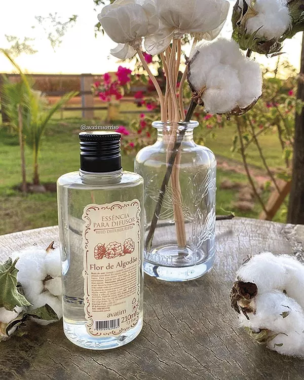 aroma patricia alvim 5jpg