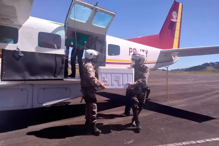 Juiz de Fora recebe mais de 16 mil doses de vacina contra o coronavírus 1 vacina srs jf