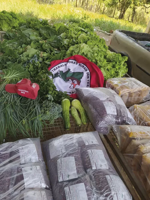 Interesse por alimentação saudável aproxima pequenos produtores e consumidores 3 mst