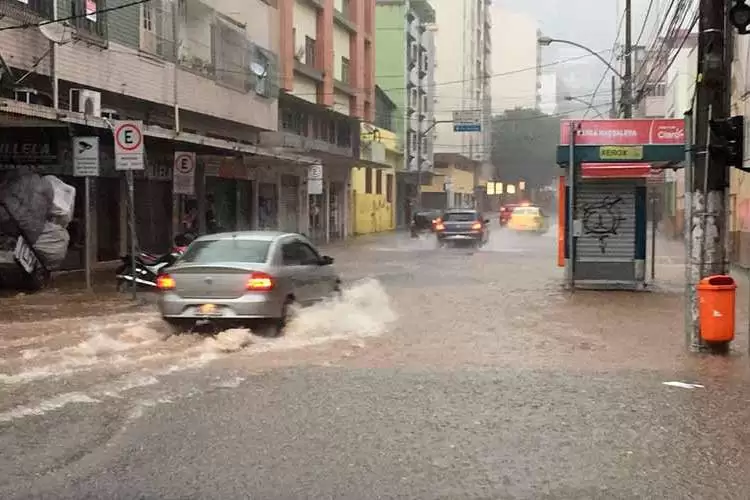 Temporal com ventos de até 77km/h causa quedas de árvores e postes 4 chuva 3 fernando priamo