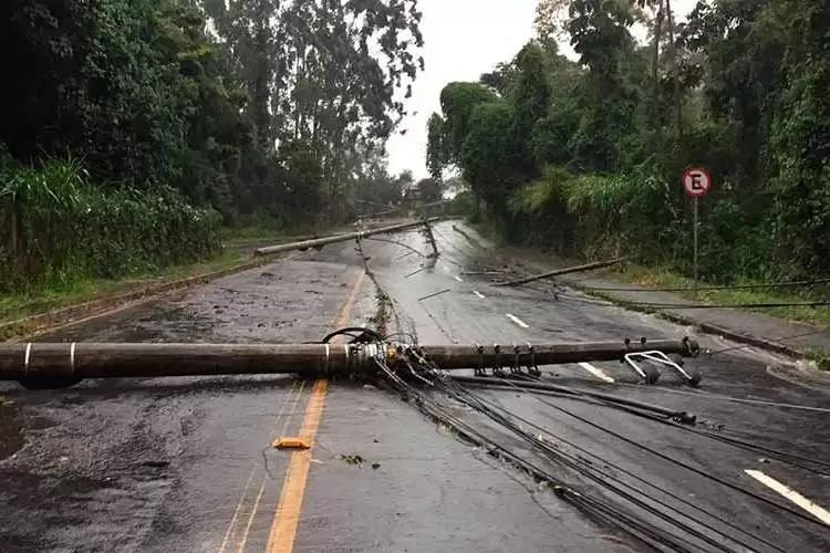 Temporal com ventos de até 77km/h causa quedas de árvores e postes 2 postes caidos na gentil forn fernando priamo
