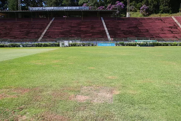 Estádio-Municipal---grama---fernando-priamo-(20)