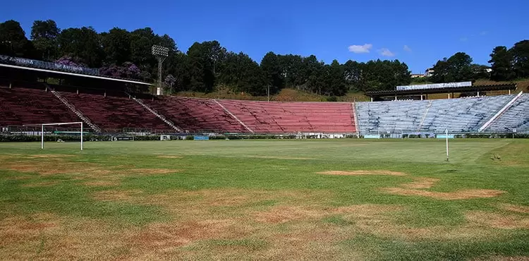 Estádio-Municipal---grama---fernando-priamo-(26)