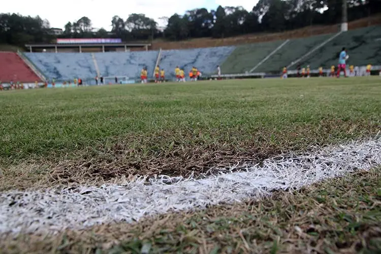 Secretário-Marcelo-fala-do-gramado---fernando-priamo-(15)