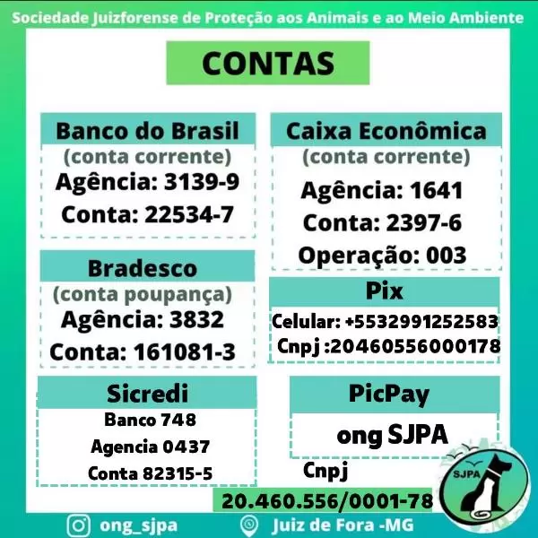 abrigo animais ONG divulgacao