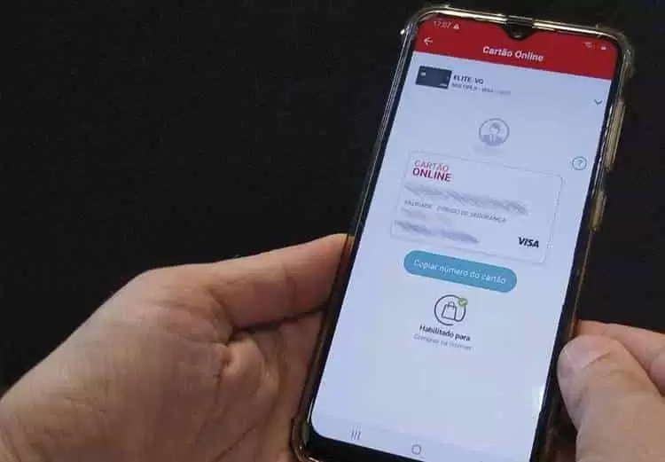 Cartão virtual traz mais segurança para compras on-line 1 cartao virtual wendell guiducci