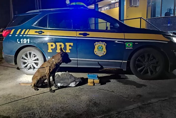 Homem é preso com cocaína avaliada em R$ 1,5 milhão entre SP e Minas 1 apreensao pouso alegre by pcmg