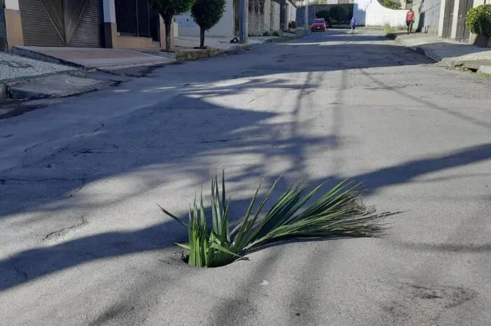 Ruas esburacadas preocupam moradores no Cascatinha 1 vu2302 1