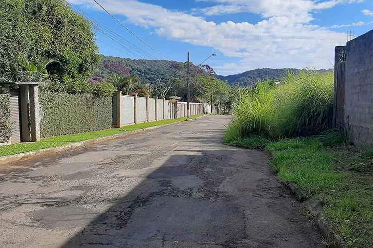 Mato alto invade rua e prejudica fluxo de carros e pedestres 1 vu050523