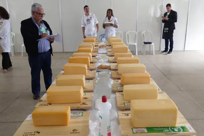 Tradicional, concurso do Minas Láctea reúne sabores de várias partes do país 1 minas lactea 2023